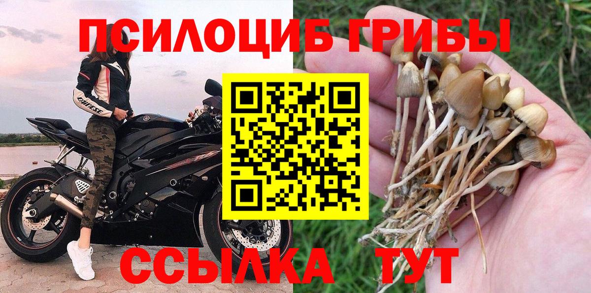 Галлюциногенные грибы ЛСД Петрозаводск