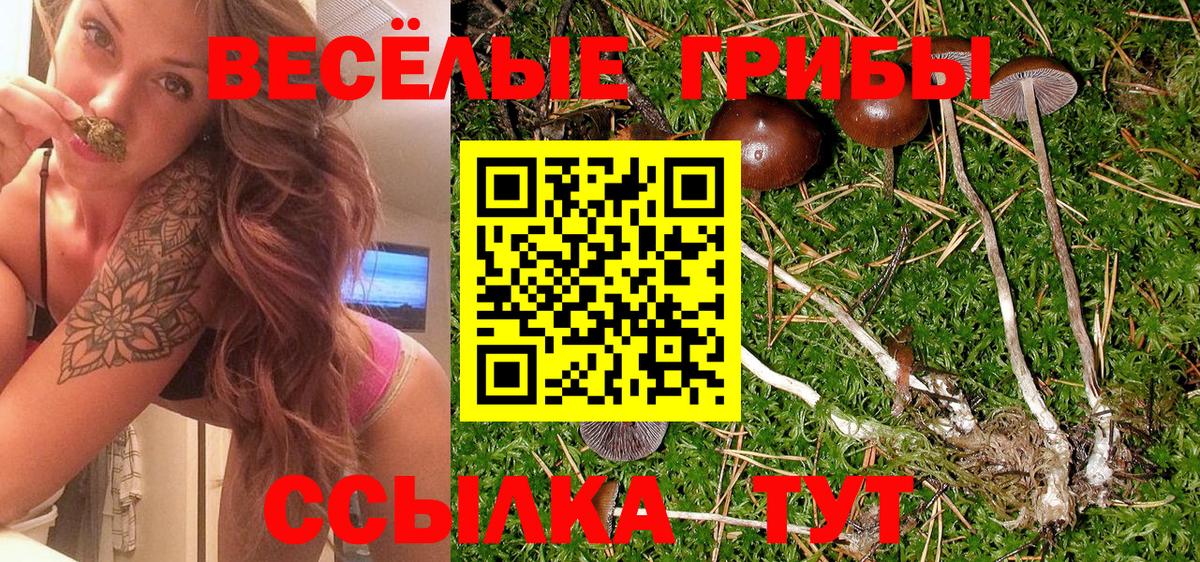 Петрозаводск  Галлюциногенные грибы прущие грибы  купить  цена  Псилоцибиновые грибы ЛСД  Вход с VPN 